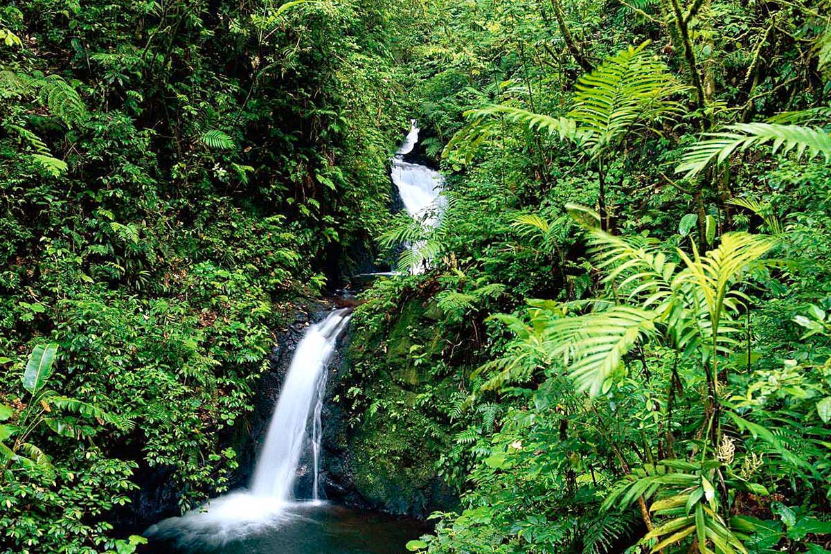 Circuit Merveilles Du Costa Rica Du Nord Au Sud Extension Dans Les