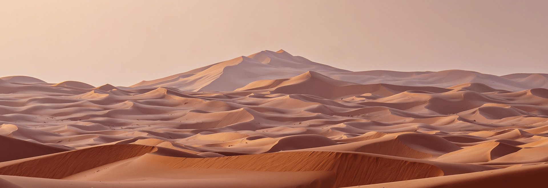 L'exclu du mois : Maroc