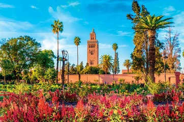 MAROC