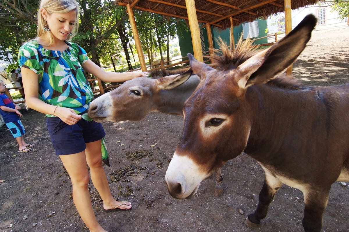 Hôtel Mexique à Playa del Carmen, club lookea sandos caracol nature resort choix flex