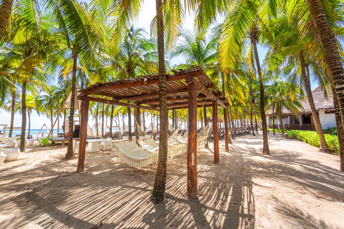 Hôtel Mexique à Playa del Carmen, club lookea sandos caracol nature resort choix flex