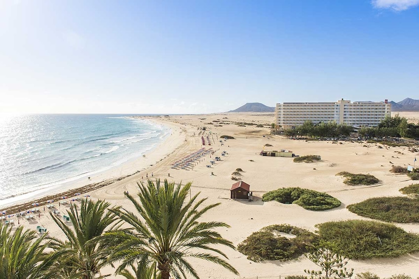 TUI Sélection Riu Oliva Beach Resort - Flex bagages inclus - TUI