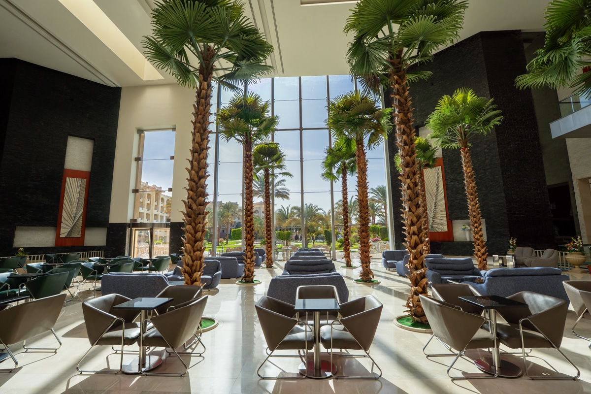 TUI Sélection Hôtel Serenity Sun Ray - Flex bagages inclus ***** - 12