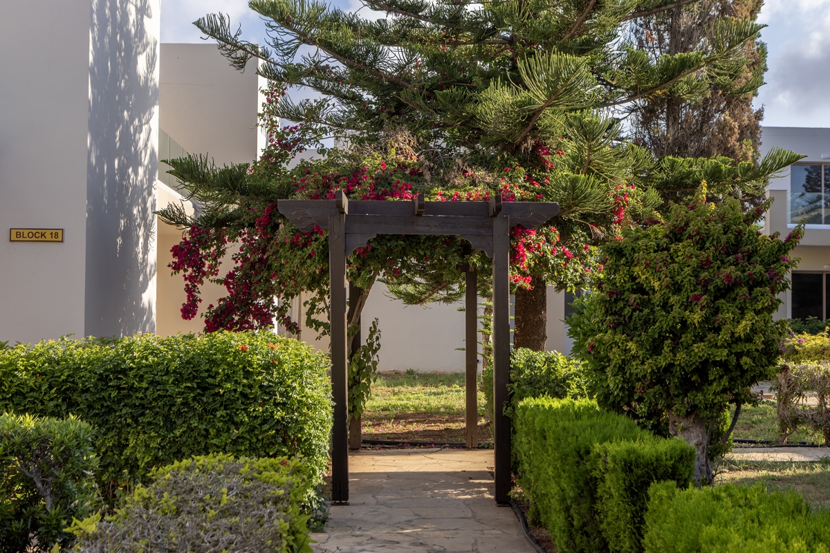 Image 15 du séjour TUI Sélection Hôtel Electra Beach Holiday Village - Flex bagages inclus **** à Larnaca, Chypre