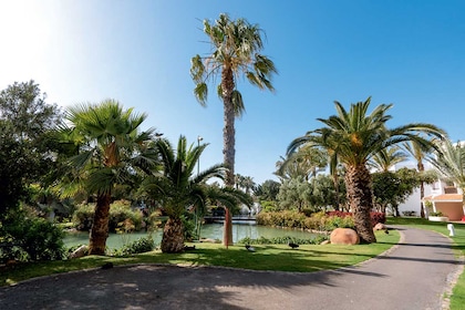 TUI Sélection Riu Tikida Dunas - Flex bagages inclus - TUI