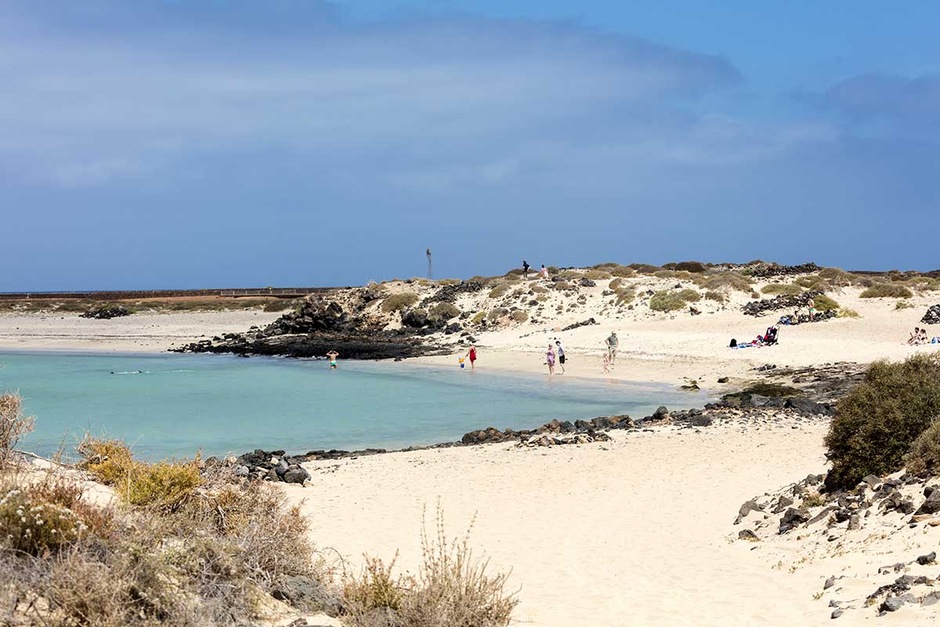 Visite de l'Île de Lobos et observation des dauphins