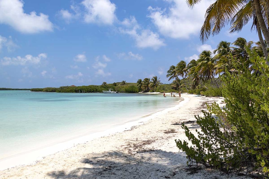 Isla Contoy & Isla Mujere