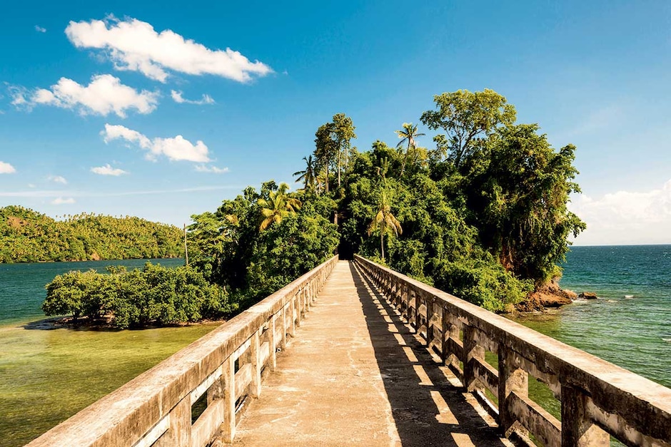 Observation des baleines (Samana), selon la saison (du 15/01 au 15/03 environ)