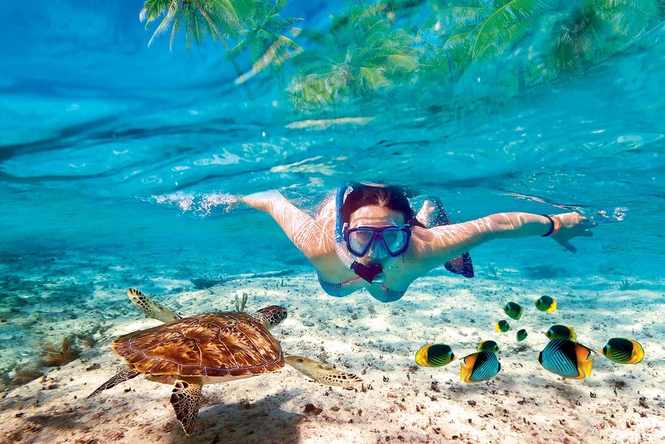 Snorkeling à l'île de Catalina