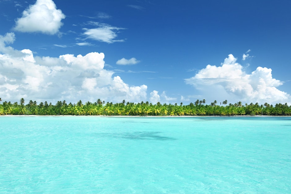 Journée vers l'île de Catalina