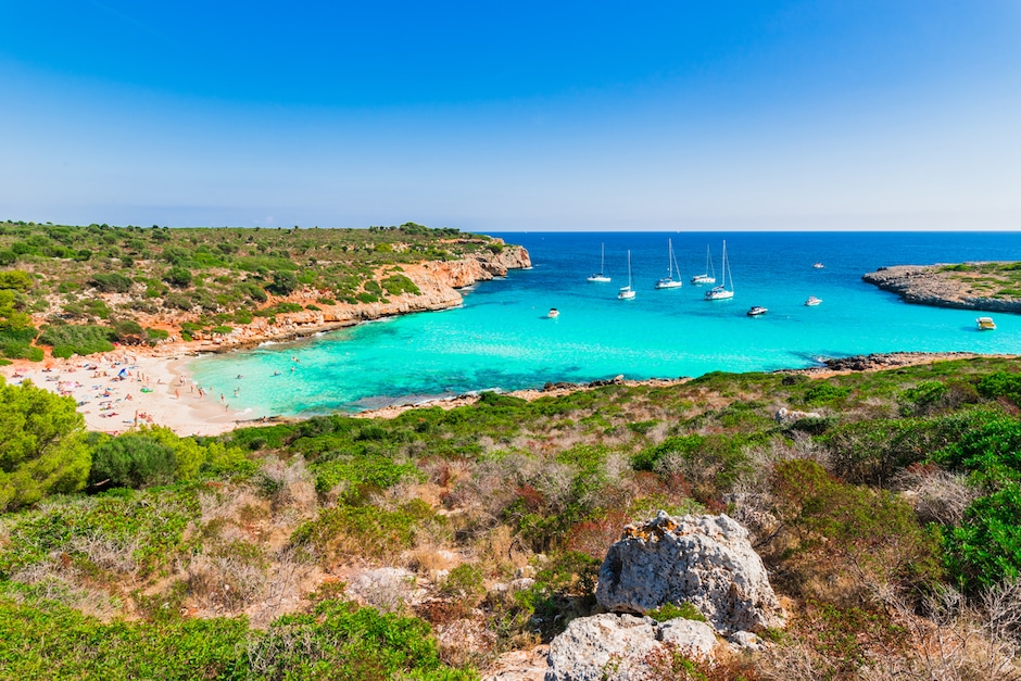 Balade des côtes et snorkeling