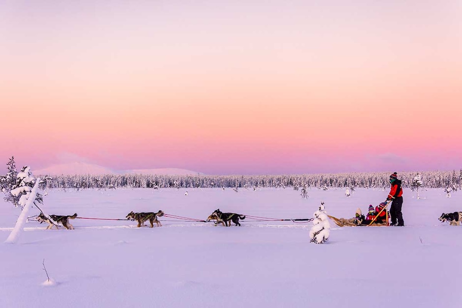 Safari Huskies en traîneau à chiens