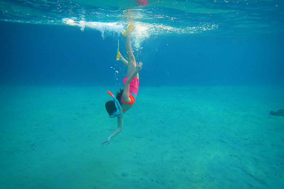 Balade en mer de 2H avec snorkeling
