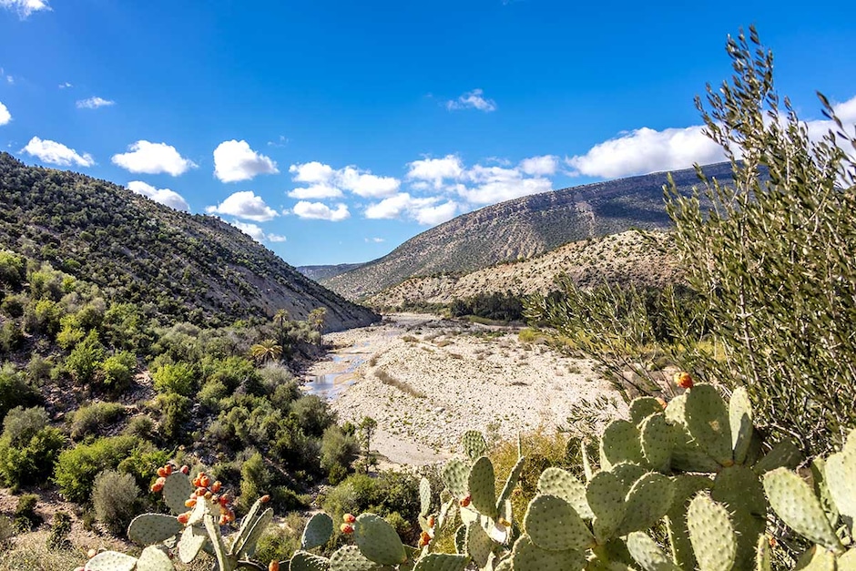 Imouzzer en véhicule tout-terrain (Richesse naturelle et Fraîcheur)