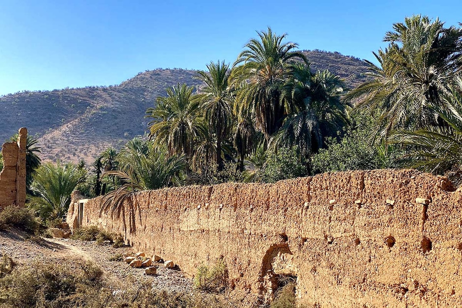 Tiout et Taroudant (Palmeraie et Oasis)