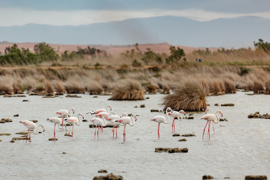 Parc naturel de la Moulouya