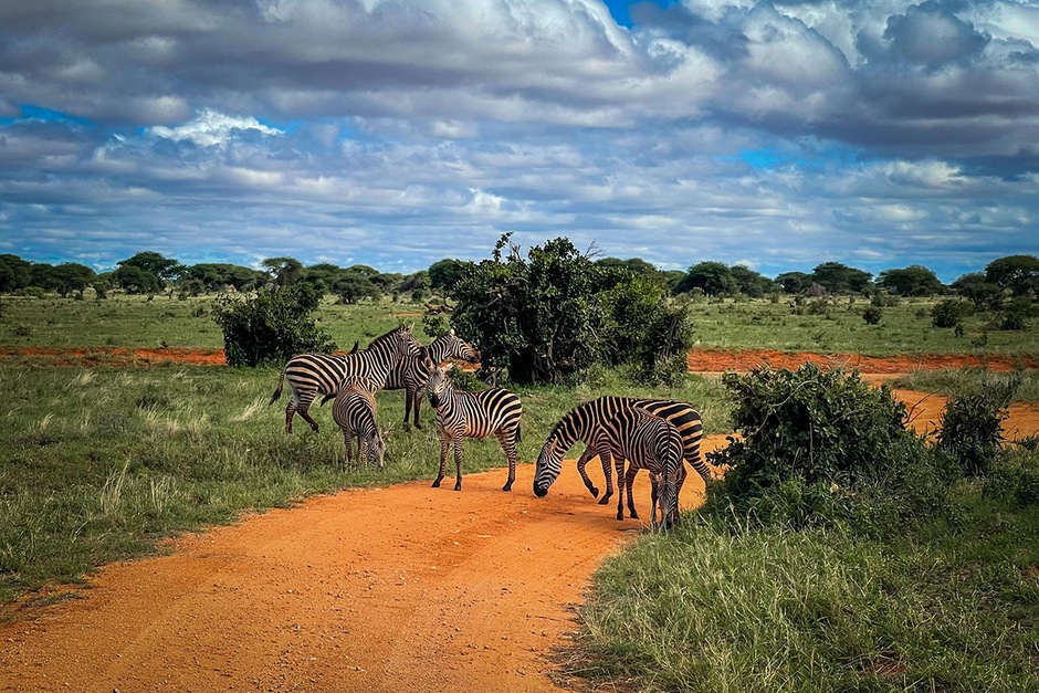 Escapade Safari 1 jour Tsavo East - pack enfant