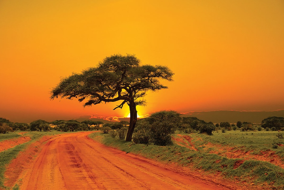 Escapade Safari Ngutuni & Tsavo East - pack adulte