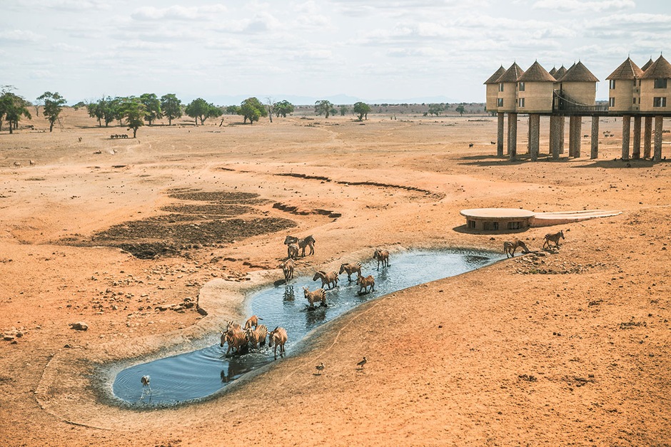 Escapade Safari Saltlick & Ngutuni - pack adulte