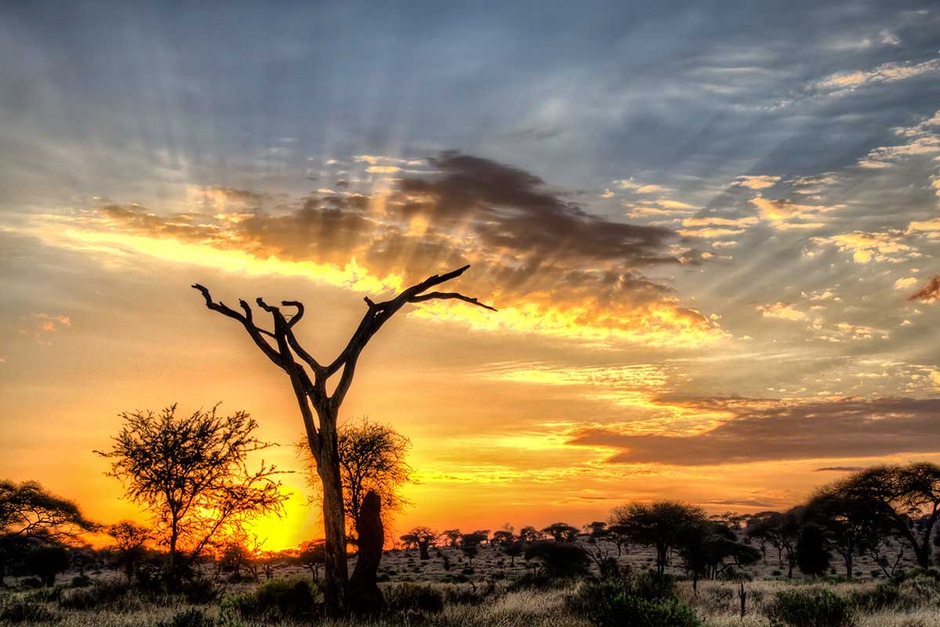 Safari 3 jours/2 nuits Tsavo Est/Salt Lick – Véhicule 4 × 4