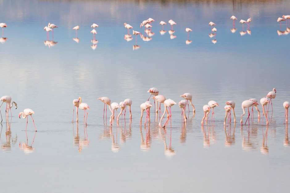 Parc naturel de la Moulouya