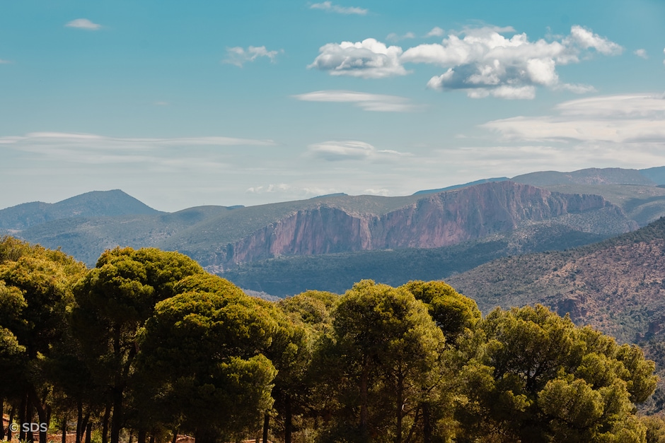Safari Quad & Soirée Barbecue (1h de Quad)