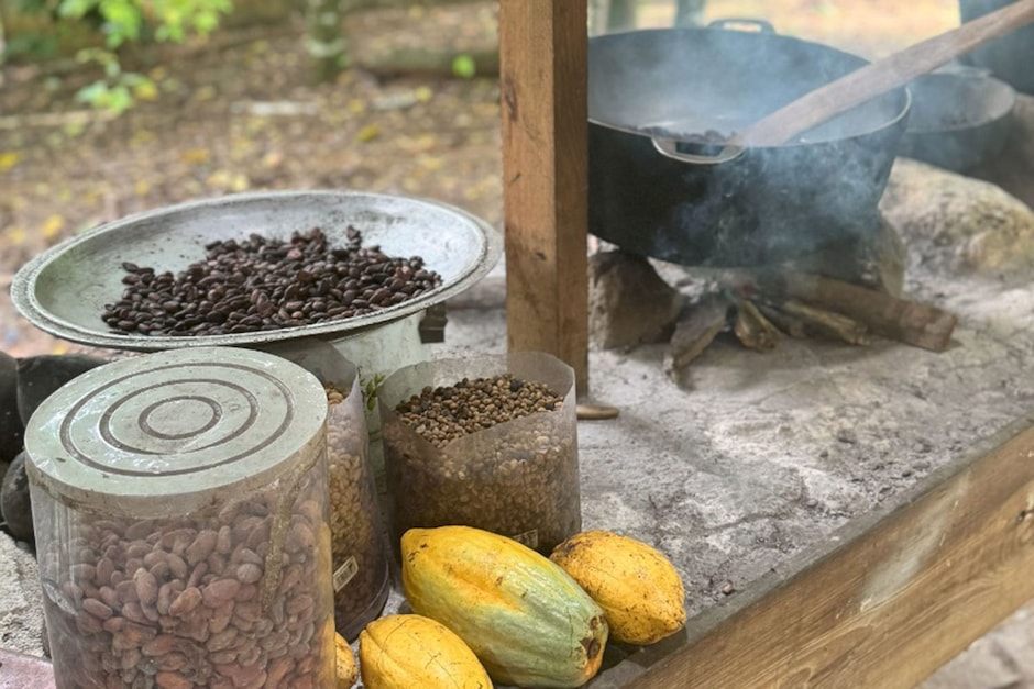 À la découverte du cacao