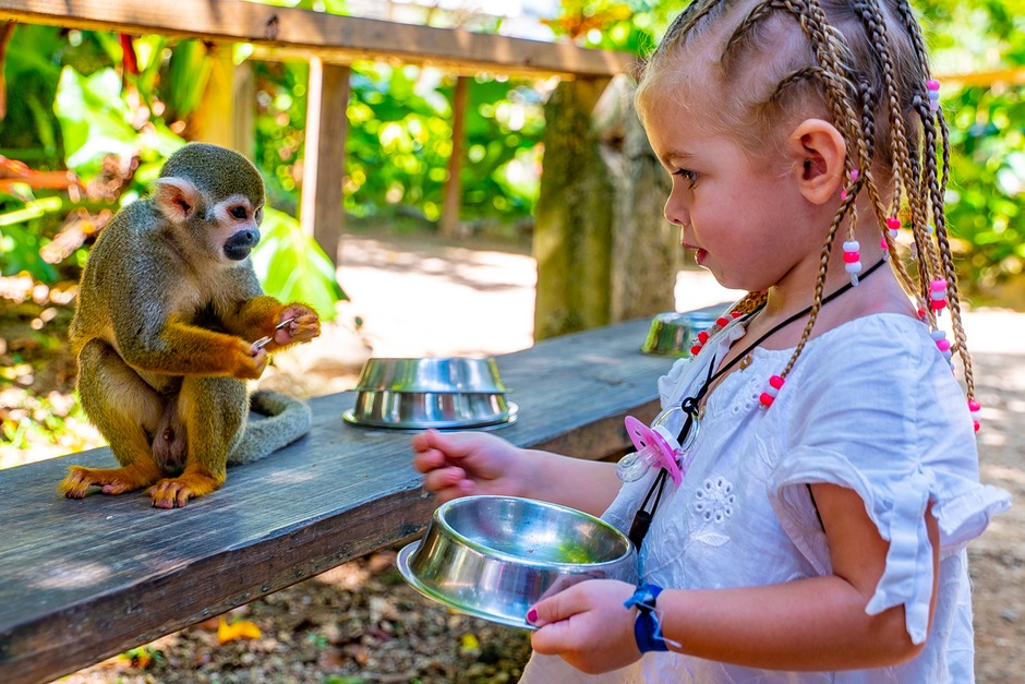 Parc d'aventure Monkeyland