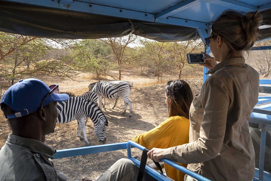 Safari à Bandia et accrobaobab