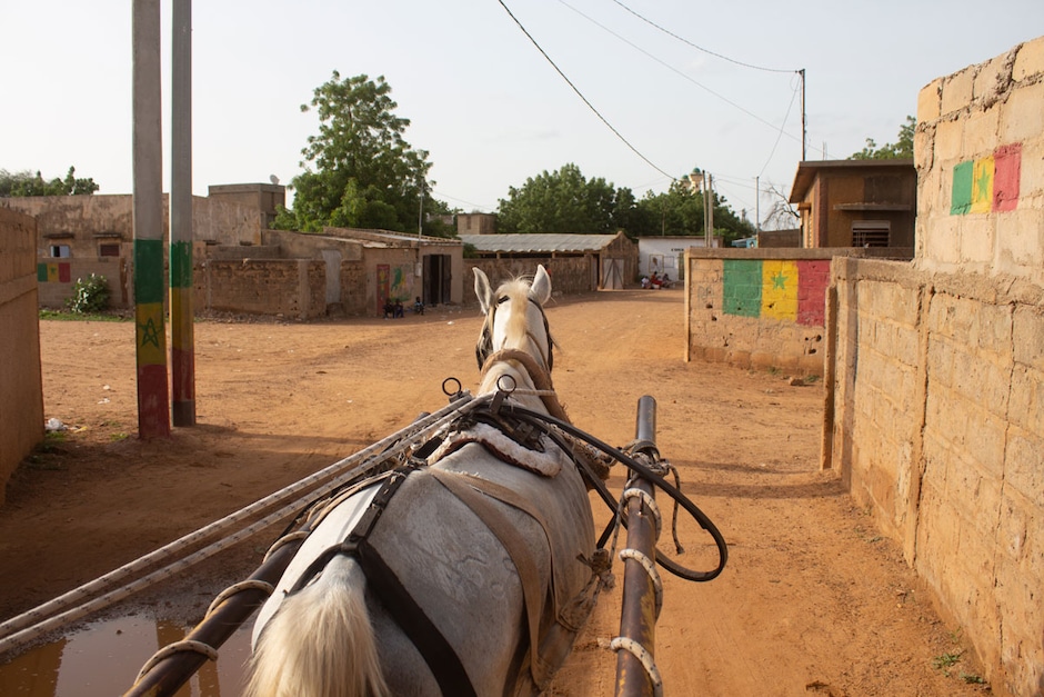 Journée verte à la ferme
