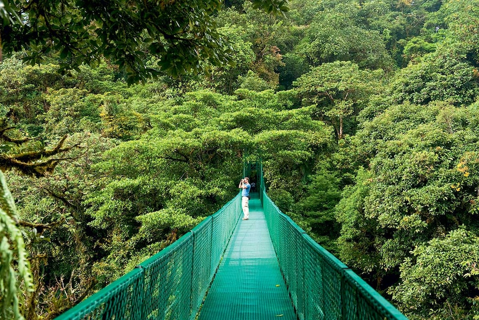 Parc national Carara et les ponts suspendus