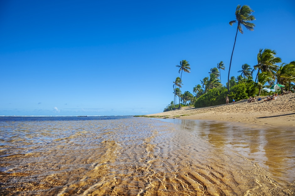 Praia do Forte