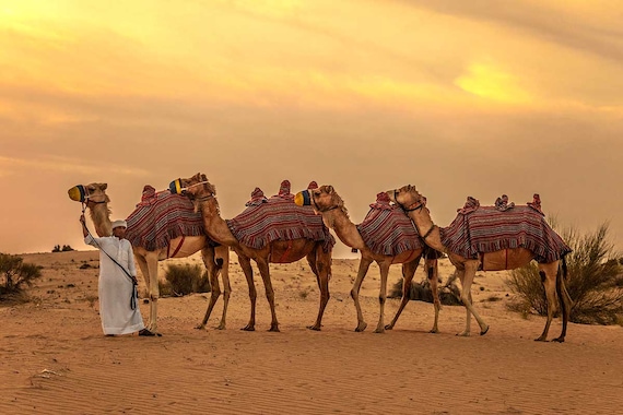 Circuit Le Royaume des sables- TUI