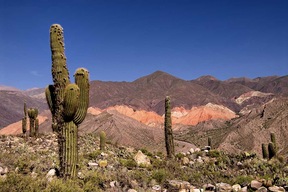 Province de Salta