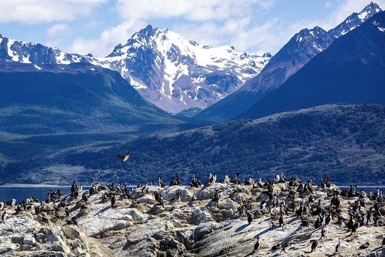 L’Odyssée Nouvelles-Frontières En Argentine - TUI