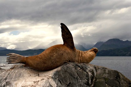 Circuit De l'Argentine au Chili + Extension Île de Pâques - TUI
