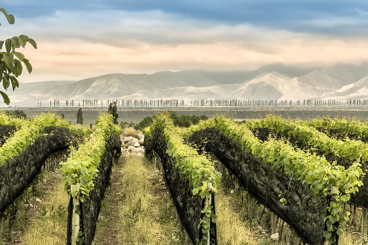 Circuit Saveurs et rencontres argentines - TUI