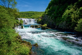 Cascade Strbacki Buk