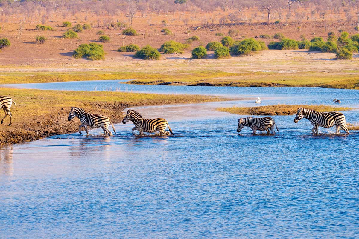 Botswana - Zimbabwe - Circuit Inoubliable Botswana
