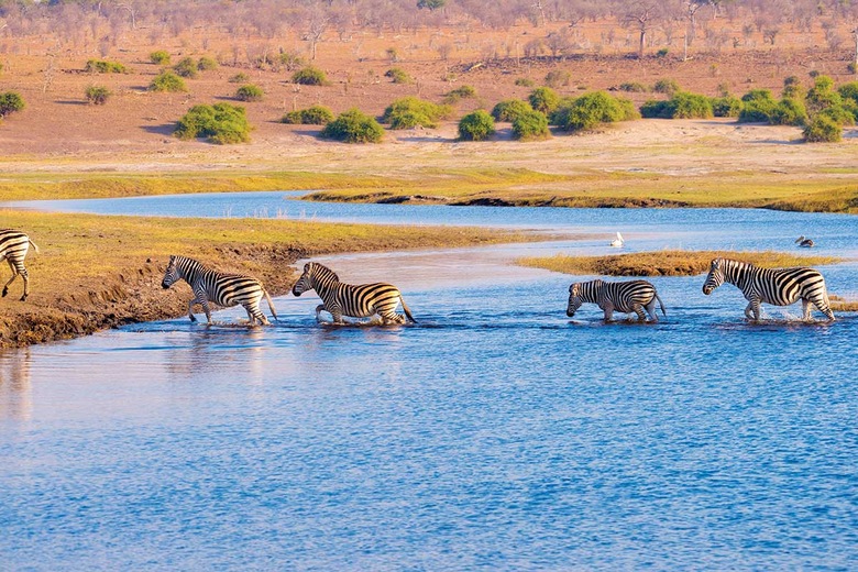 Parc de Chobe
