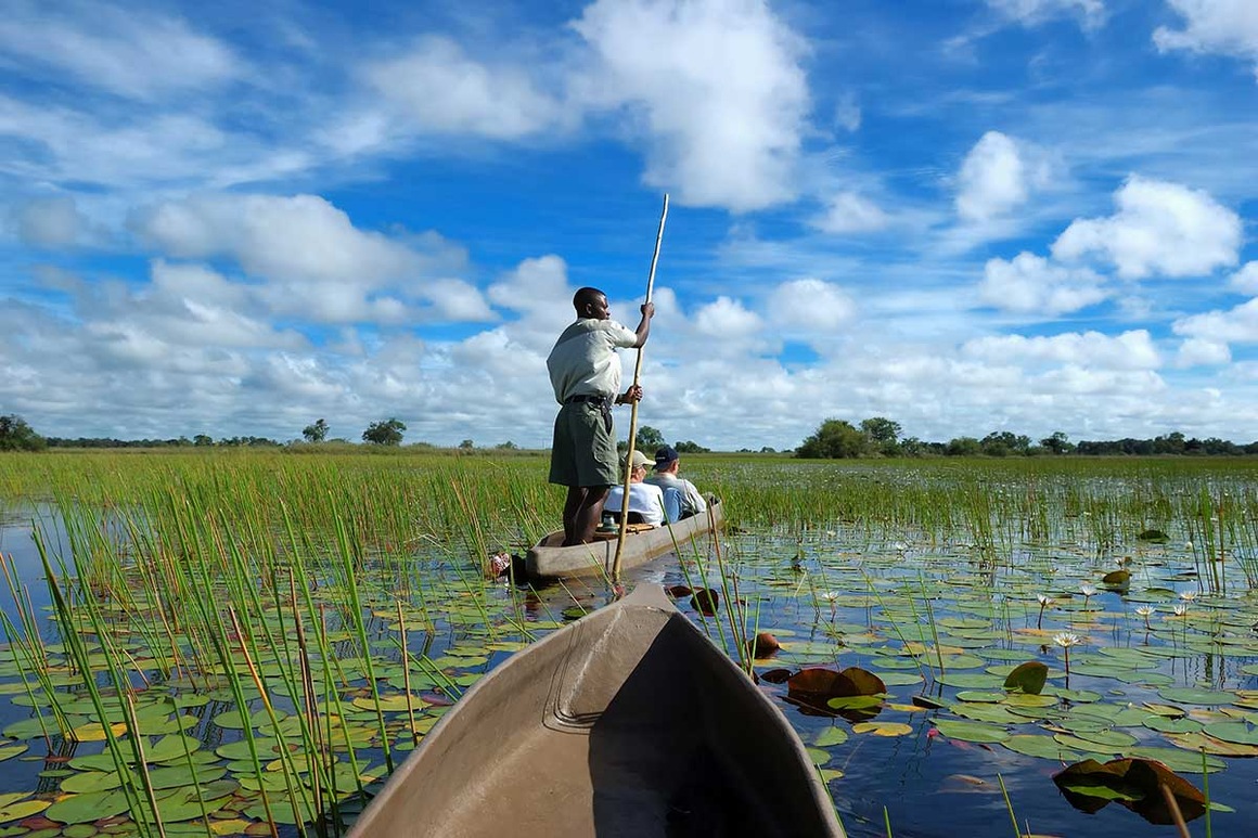 Circuit Inoubliable Botswana - TUI