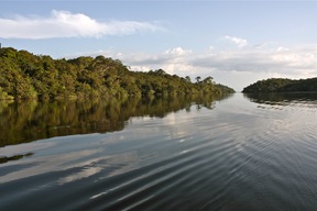 Rivière Arapiuns