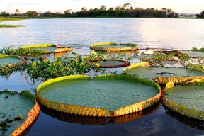 Lac Maica