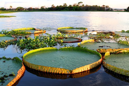 Croisière en Amazonie sauvage - TUI