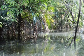 Rivière Tapajos