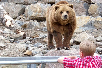 Road Trip Le Québec en famille (ex Family Fun) - TUI