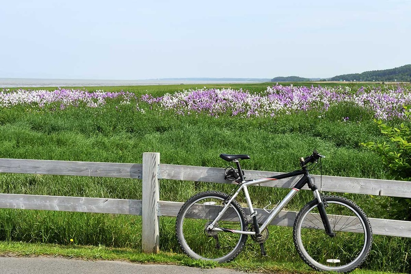 Road Trip Balade québécoise - TUI