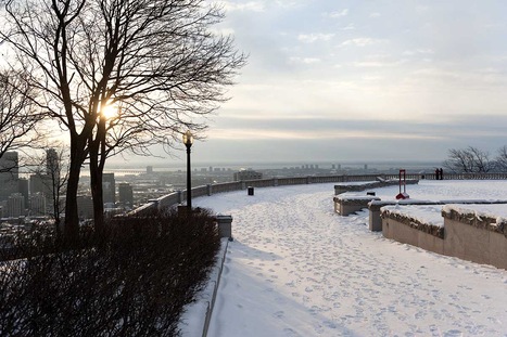 Sejour Activites Au Clair De L Hiver Reservez En Ligne Avis Et Tarifs Tui France Sejour Activites Au Clair De L Hiver Reservez En Ligne Avis Et Tarifs Tui France