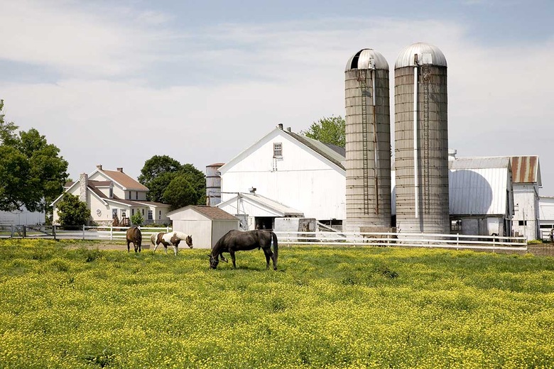 Pays amish