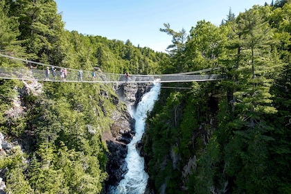 Circuit Saveurs de l’Est canadien – Le grand tour - TUI